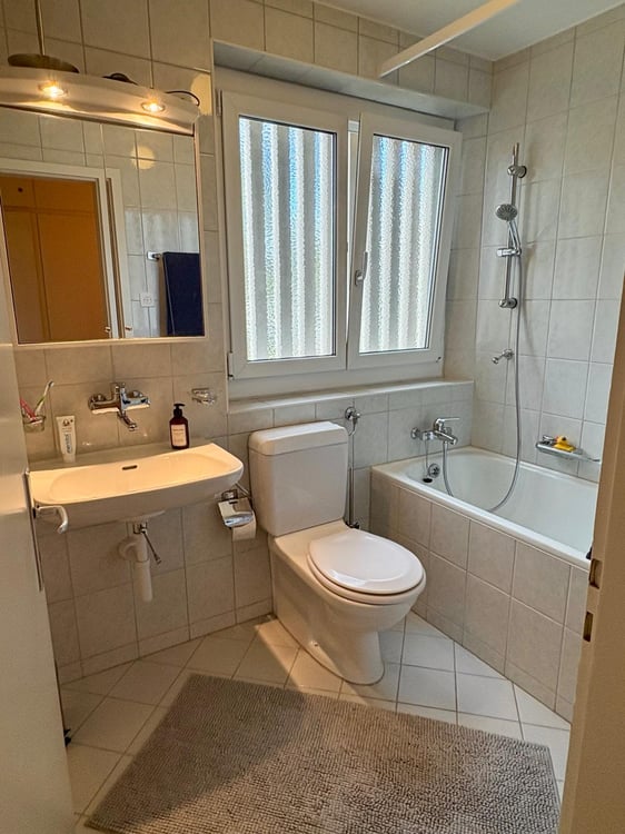 Charmante 1.5-Zimmer-Wohnung mit Bergblick in Luzern 4