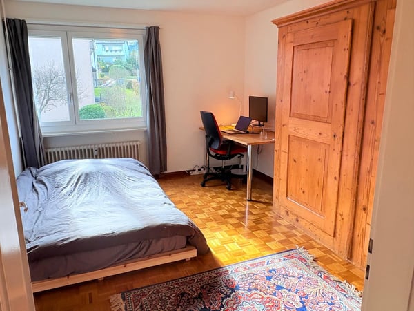 Charmante 1.5-Zimmer-Wohnung mit Bergblick in Luzern 5