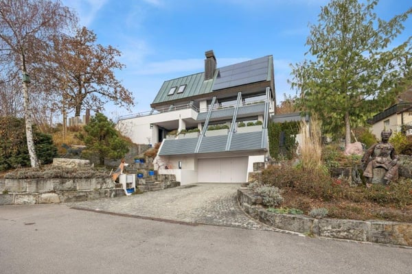 Einmaliges 2 Zimmer EFH mit atemberaubender Aussicht in Döttingen AG 1