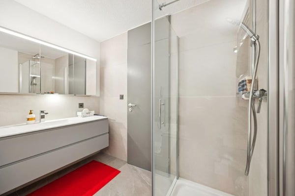 Einmaliges 2 Zimmer EFH mit atemberaubender Aussicht in Döttingen AG 21