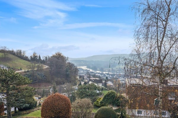 Einmaliges 2 Zimmer EFH mit atemberaubender Aussicht in Döttingen AG 31
