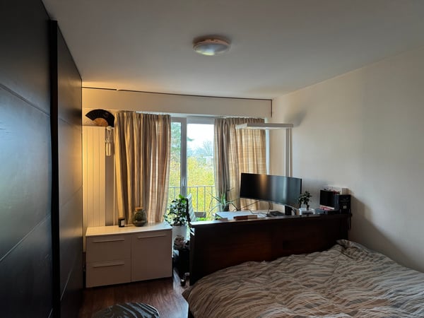 Cozy 2-Room Studio Apartment with Balcony in Zürich 8008