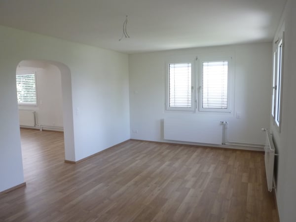 MODERNER BLICK INS GRÜNE 2