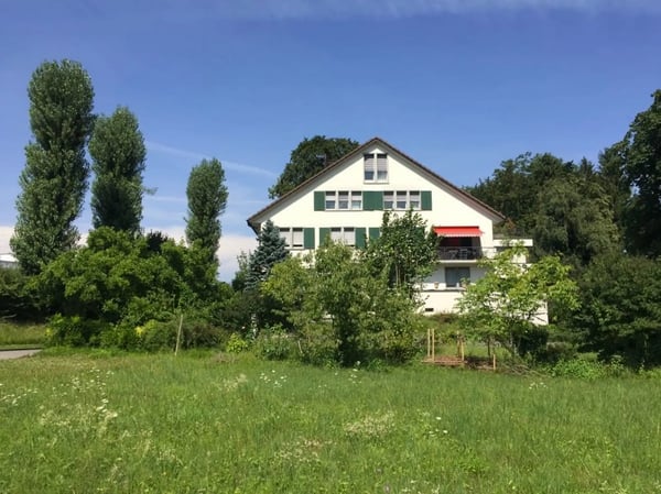 MODERNER BLICK INS GRÜNE 11