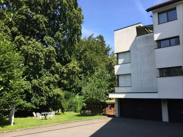 MODERNER BLICK INS GRÜNE 12