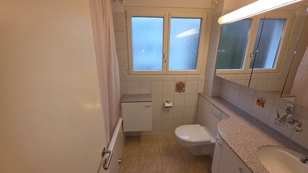 Befristet zu mieten 1.5-Zimmer-Wohnung mit Garten in Zürich Seebach 6