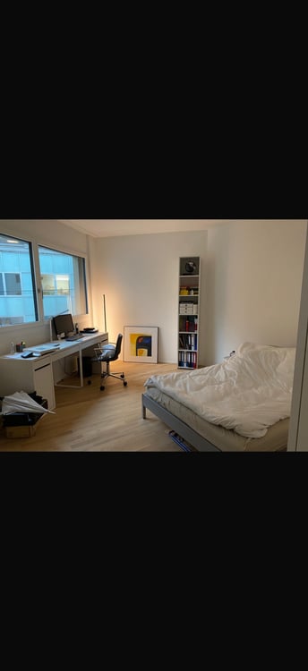 Zentrale 1.5 Zi Wohnung in Luzern 3