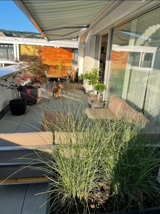 Exklusive 1.5-Zimmer-Attikawohnung mit grosser Terrasse & schöner Aussicht 10