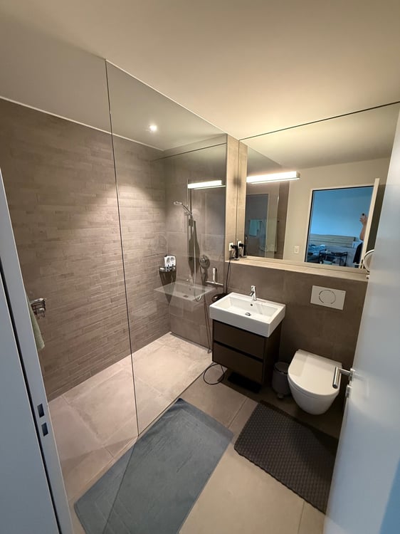 Exklusive 1.5-Zimmer-Attikawohnung mit grosser Terrasse & schöner Aussicht 4