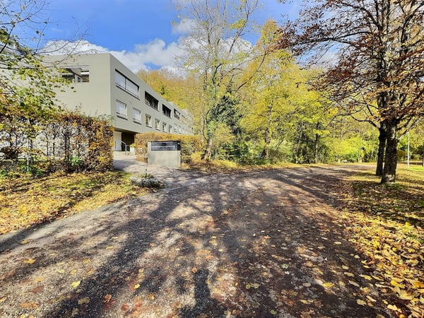 Magnifique maison mitoyenne de 1.5 pièces + studio à Fribourg 13