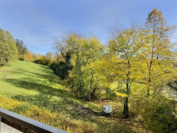 Magnifique maison mitoyenne de 1.5 pièces + studio à Fribourg 14