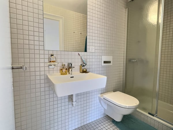 Magnifique maison mitoyenne de 1.5 pièces + studio à Fribourg 12