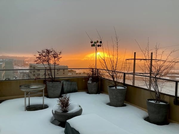 ADLER NEST (möbliert oder unmöbliert) 1