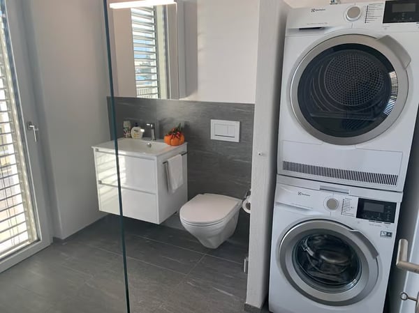 Exkl. 1.5-Zimmer-Dachwohnung mit grosser Dachterrasse 4