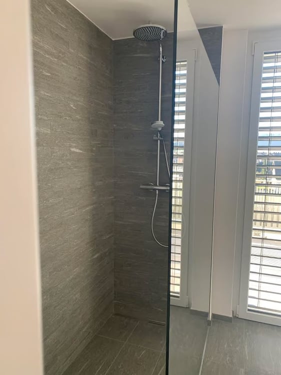 Exkl. 1.5-Zimmer-Dachwohnung mit grosser Dachterrasse 5