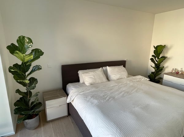 Seegrundstück und Badeplatz mit hochwertiger Attikawohnung sucht neuen Mieter 14