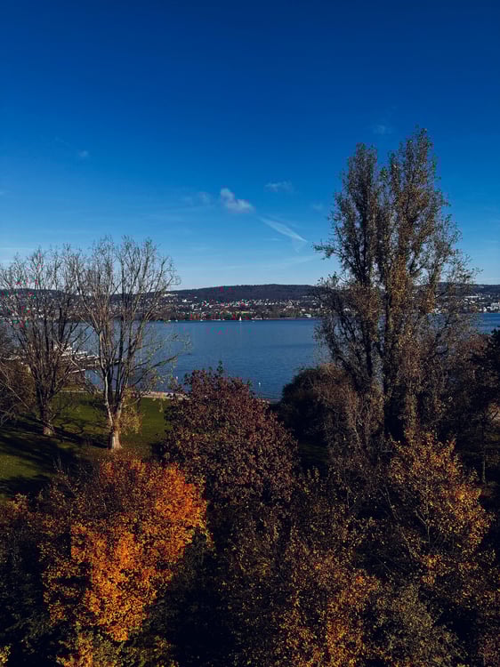 Vorschaubild der Immobilie