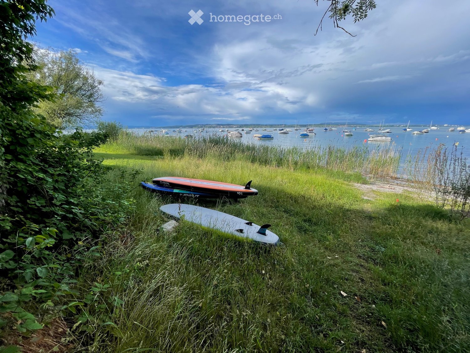 Green grassy area with 3 surfboards and a bay with boats