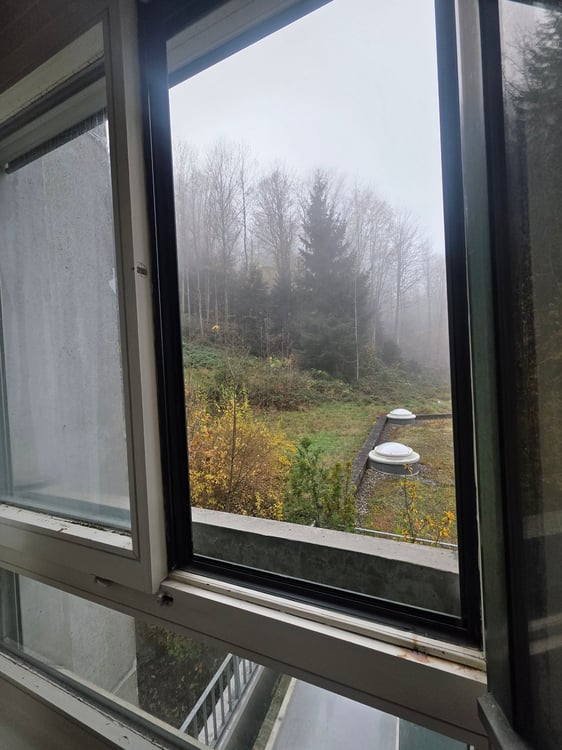 Moderne 1.5-Zimmer-Wohnung mit Balkon in St. Gallen 5