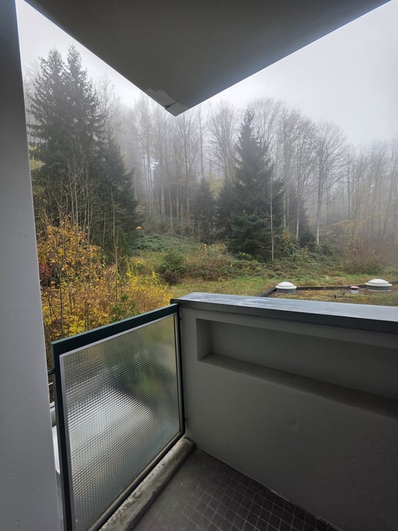 Moderne 1.5-Zimmer-Wohnung mit Balkon in St. Gallen 9