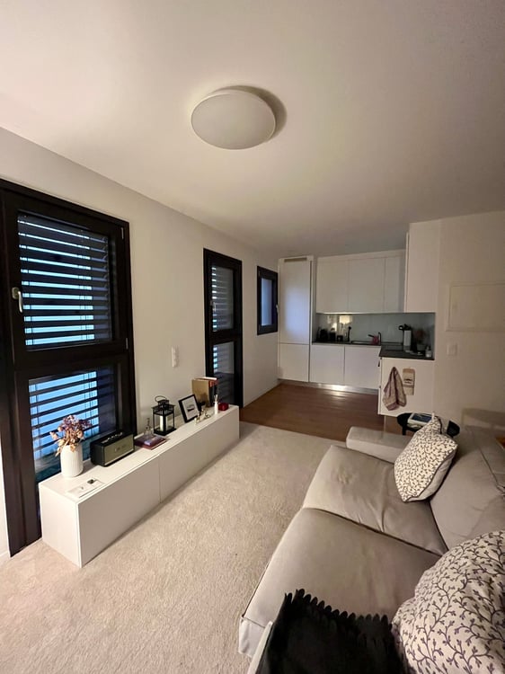 Appartamento moderno 1.5 locali arredato Mendrisio 2