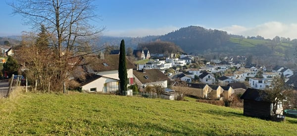 Charmantes 1-Zimmer-Einfamilienhaus am sonnigen Lägernhang 2