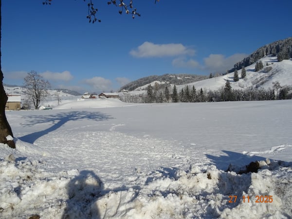 Charmantes 1.5-Zimmer-Bauernhaus in ruhiger Lage in Urnäsch 5