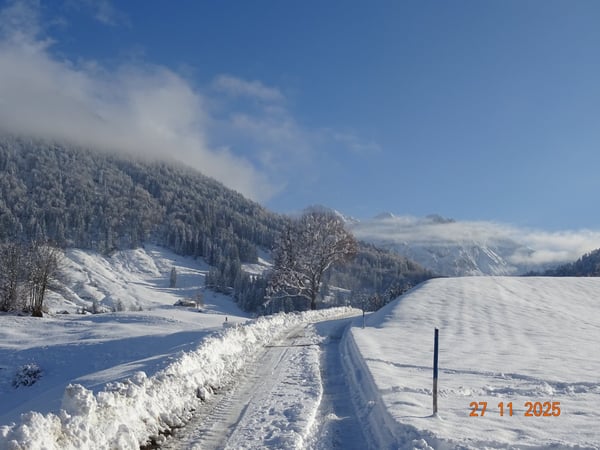Charmantes 1.5-Zimmer-Bauernhaus in ruhiger Lage in Urnäsch 4