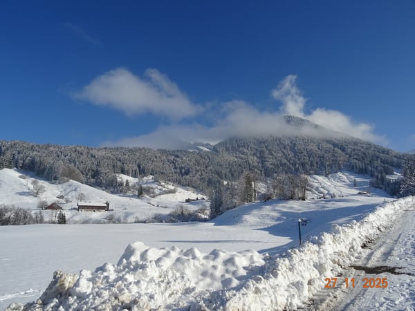 Charmantes 1.5-Zimmer-Bauernhaus in ruhiger Lage in Urnäsch 3