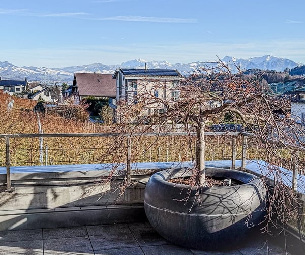 Sonnenverwöhnte 4.5-Zimmer-Terassenwohnung im steuergünstigen Wilen bei Wollerau 4