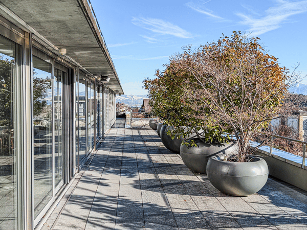 Sonnenverwöhnte 4.5-Zimmer-Terassenwohnung im steuergünstigen Wilen bei Wollerau 3