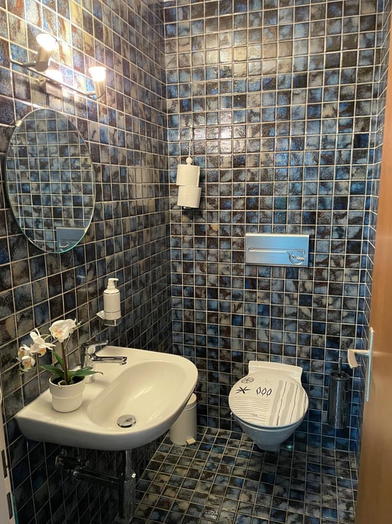 1.5 Zimmer Terrassenwohnung in Männedorf mit Seesicht 14