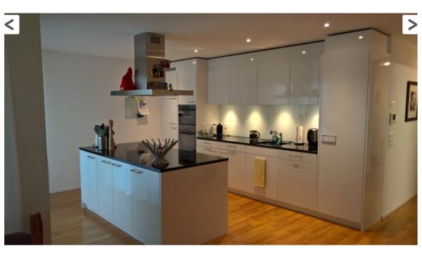 Moderne 4.5-Zimmer-Wohnung mit Bergblick in Flaesch 4