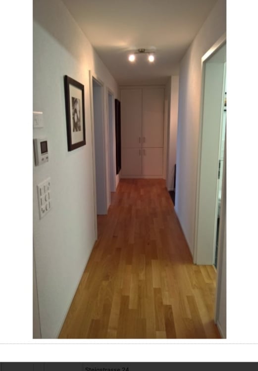 Moderne 4.5-Zimmer-Wohnung mit Bergblick in Flaesch 1