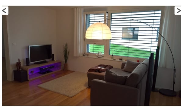 Moderne 4.5-Zimmer-Wohnung mit Bergblick in Flaesch 3