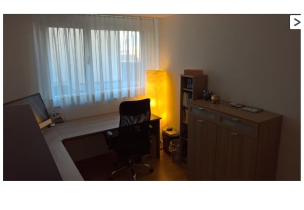 Moderne 4.5-Zimmer-Wohnung mit Bergblick in Flaesch 5