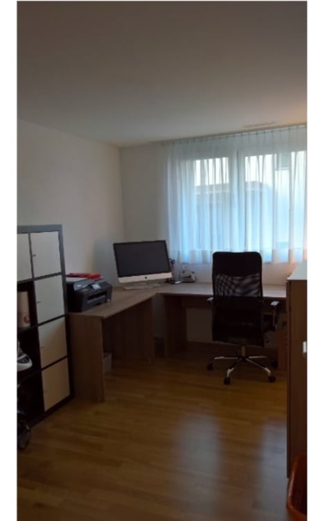 Moderne 4.5-Zimmer-Wohnung mit Bergblick in Flaesch 2