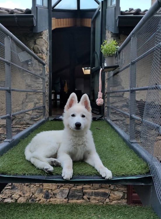 Affascinante appartamento arredato 1.5 locali con vista panoramica a Cabbio 1