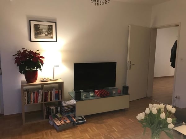 Charmante 1.5-Zimmer-Wohnung mit Balkon in Genf 3