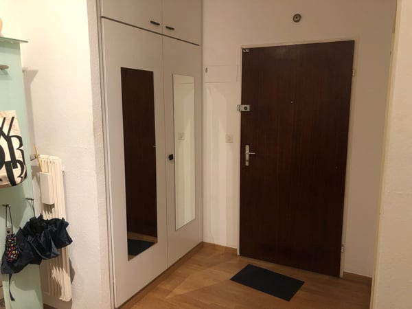 Charmante 1.5-Zimmer-Wohnung mit Balkon in Genf 4