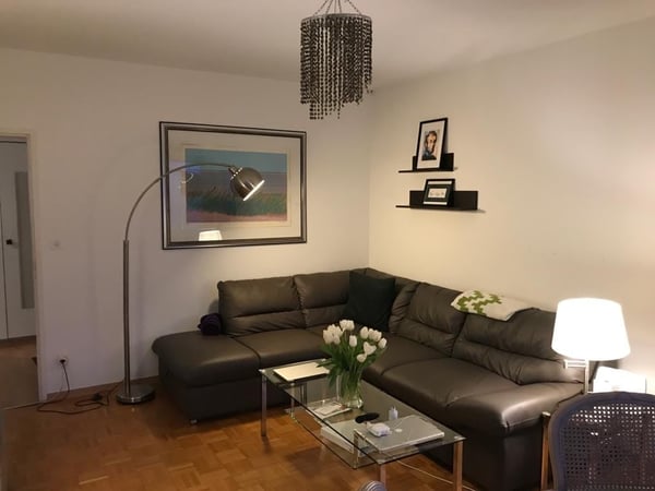 Charmante 1.5-Zimmer-Wohnung mit Balkon in Genf 2