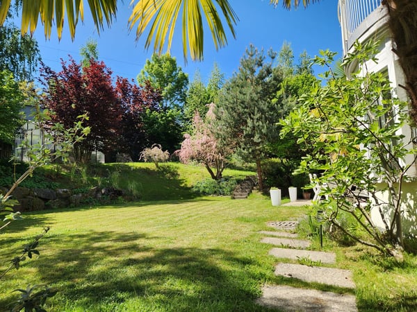 Exklusive 2.5-Zimmer-Villa mit Garten in Rorschacherberg 2