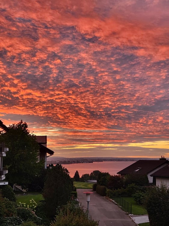 Exklusive 2.5-Zimmer-Villa mit Garten in Rorschacherberg 22