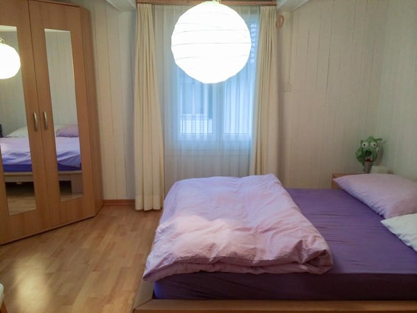 1-Zimmer-Einfamilienhaus mit Kamin in Buchs SG 26