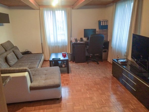 1-Zimmer-Einfamilienhaus mit Kamin in Buchs SG 25