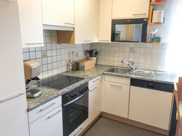 1-Zimmer-Einfamilienhaus mit Kamin in Buchs SG 14