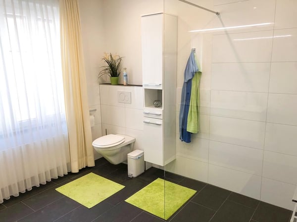 1-Zimmer-Einfamilienhaus mit Kamin in Buchs SG 4