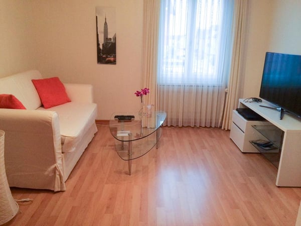 1-Zimmer-Einfamilienhaus mit Kamin in Buchs SG 10