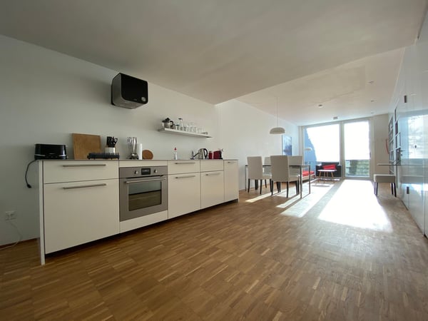 Moderne 1.5-Zimmer-Garten-Loft-Wohnung in Basel-Wettstein 2