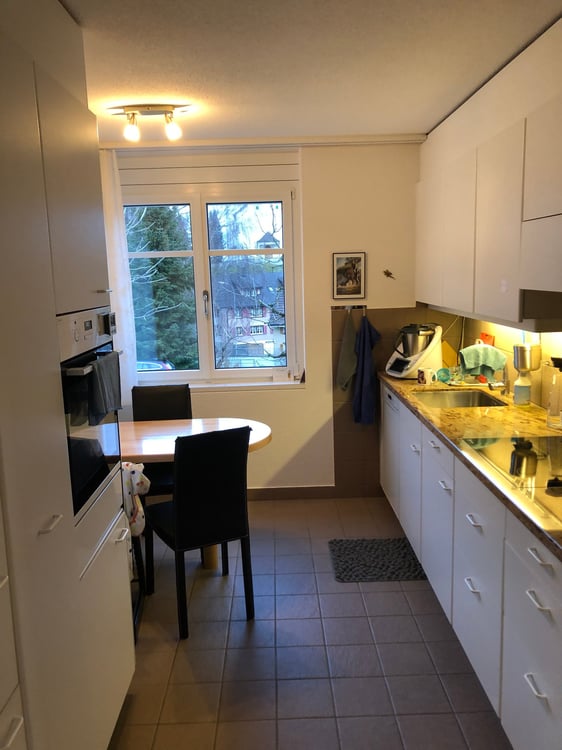 Moderne 1.5-Zimmer-Wohnung mit Cheminée, Balkon und Seesicht in Untereggen 3